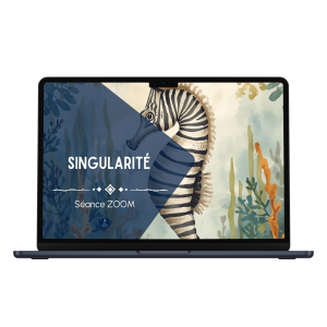 Singularite - Séance d’1h30